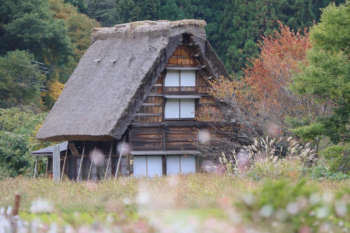 不只有合掌村｜深度探訪「岐阜縣白川村」秘境：騎乘電動自行車、登山健行賞楓之旅