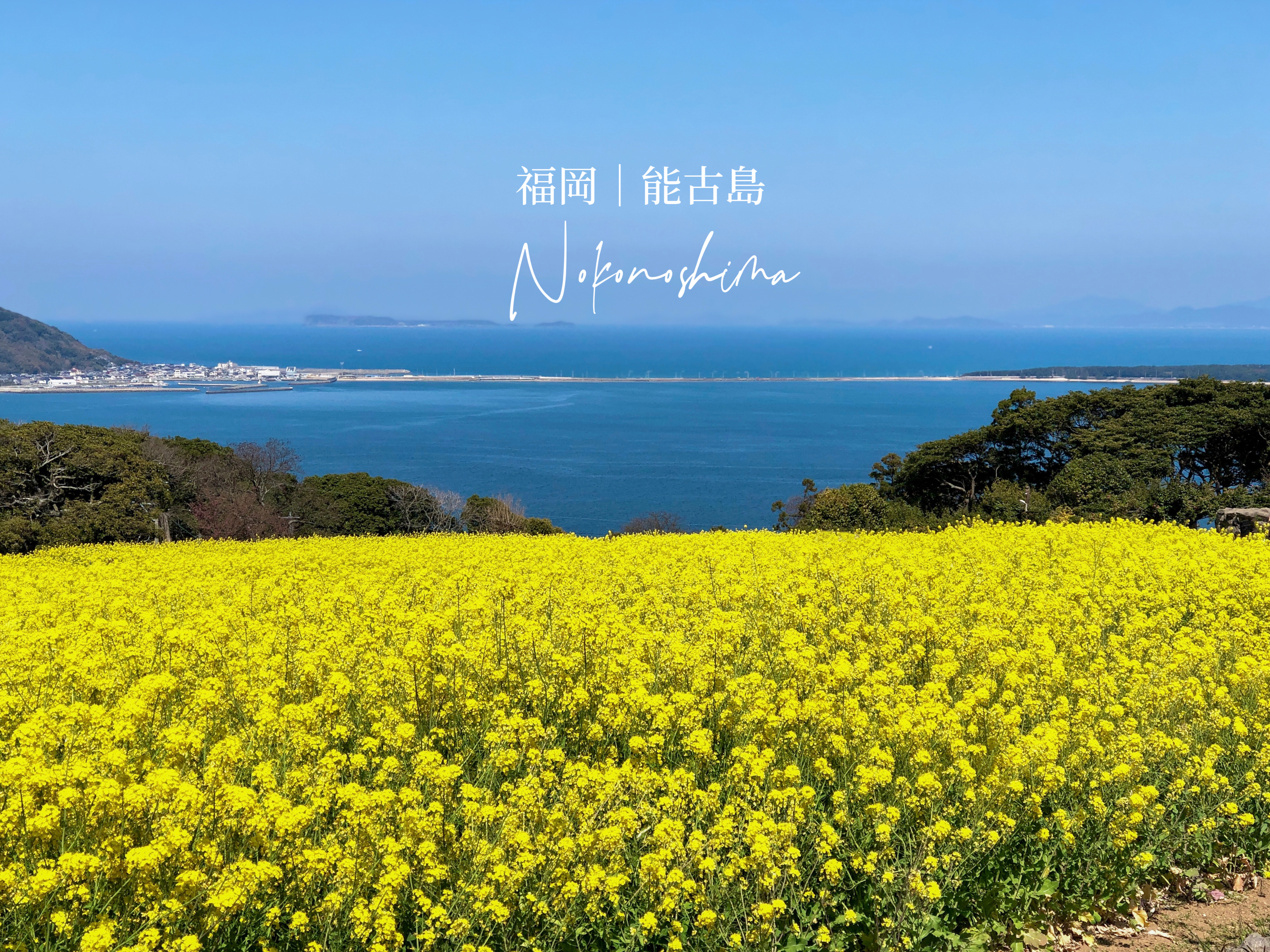 福岡近郊｜能古島一日遊交通攻略：看海、賞花、BBQ美食