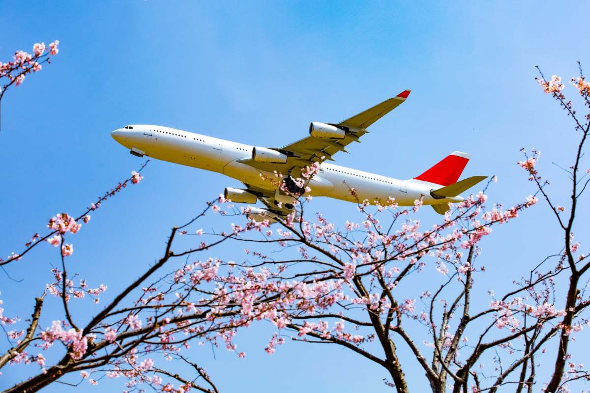 晚班飛機這樣玩｜成田機場周邊10大景點：泡溫泉、吃鰻魚飯、逛OUTLET通通有！