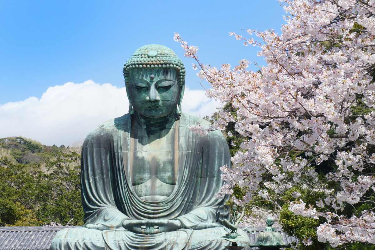 東京近郊｜鎌倉賞櫻景點12選：鶴岡八幡宮櫻花大道、櫻花大佛必看