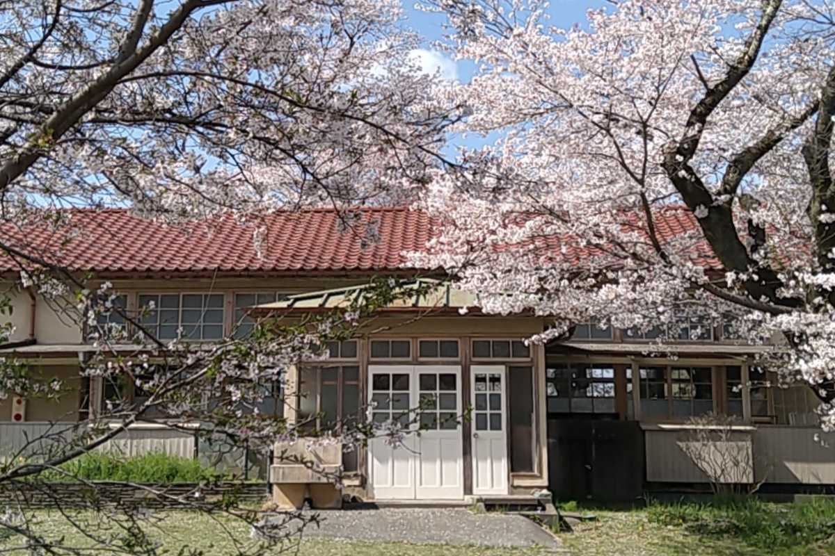 池袋出發｜悠閑賞櫻不怕人擠人！「小川町」觀光景點5選