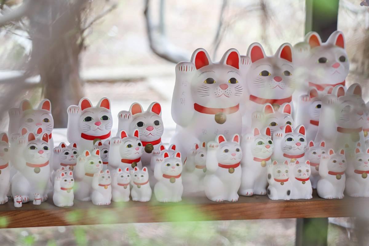 能量景點｜東京自由行必訪招財貓寺「豪德寺」交通方式、周邊美食