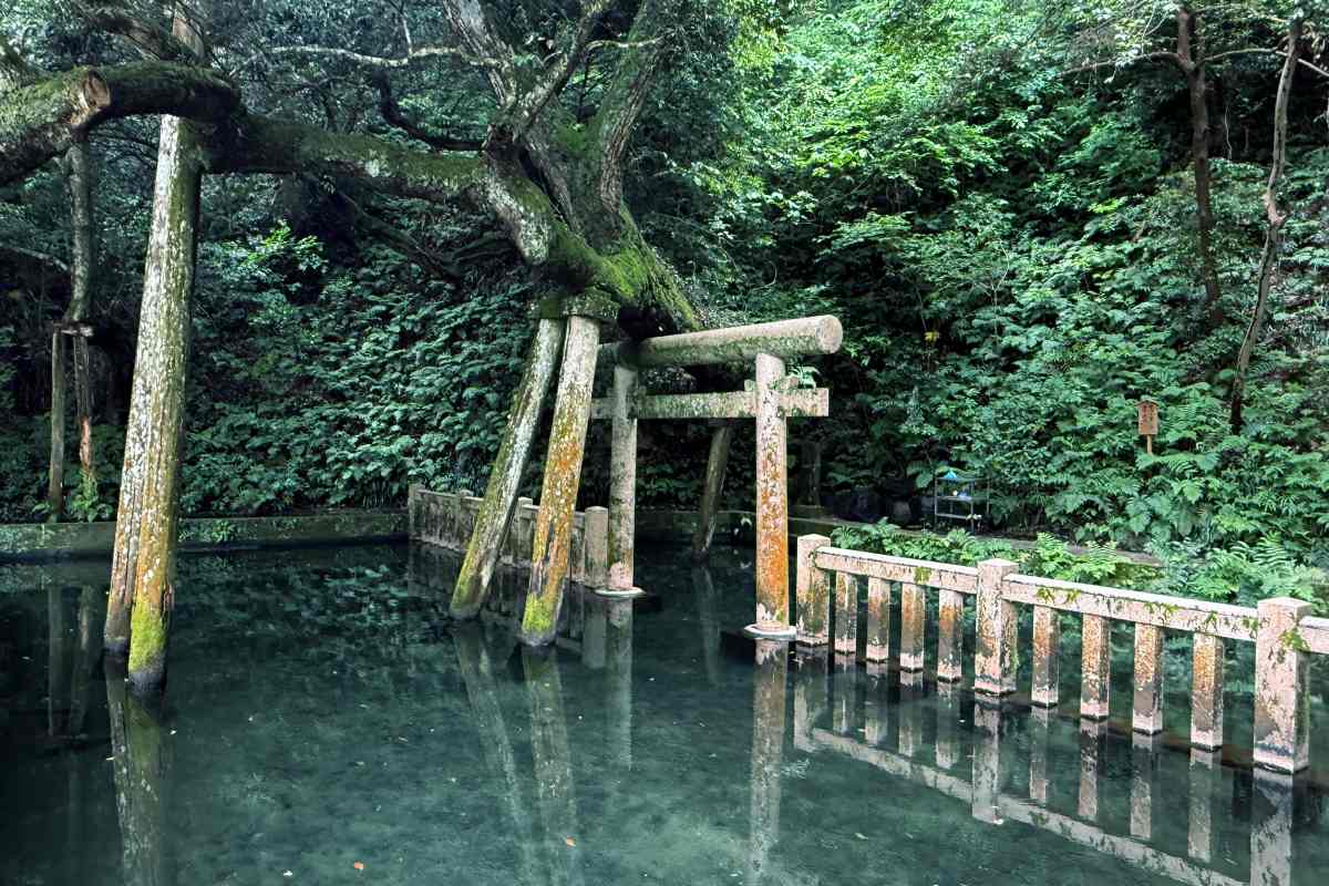 東京一日遊｜關東最強能量景點！2600年歷史「鹿島神宮」參拜路線、美食推薦