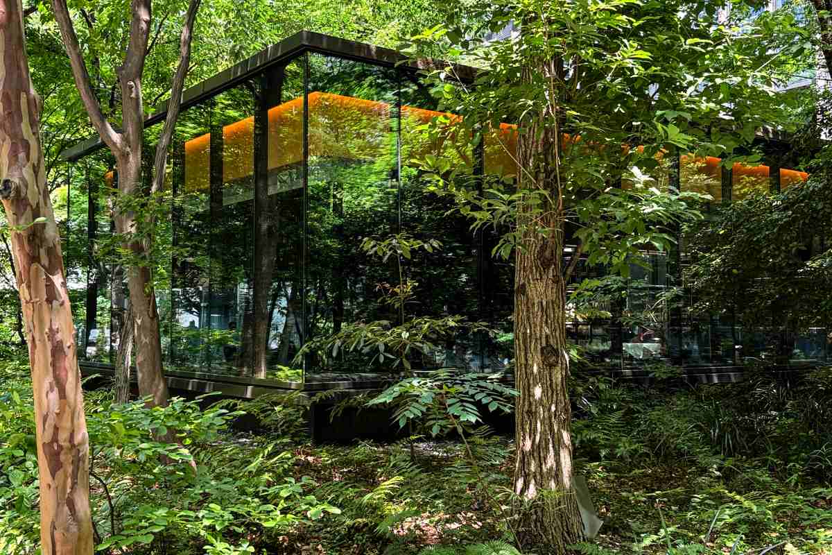 東京車站美食｜秘境午餐！都市森林 The Café by Aman 安縵咖啡