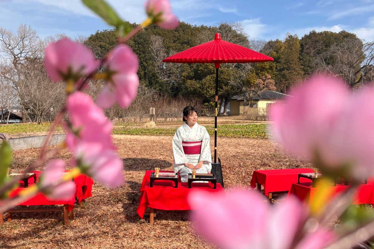小眾景點｜不擁擠的京都！官方認證日本各地「小京都」10選