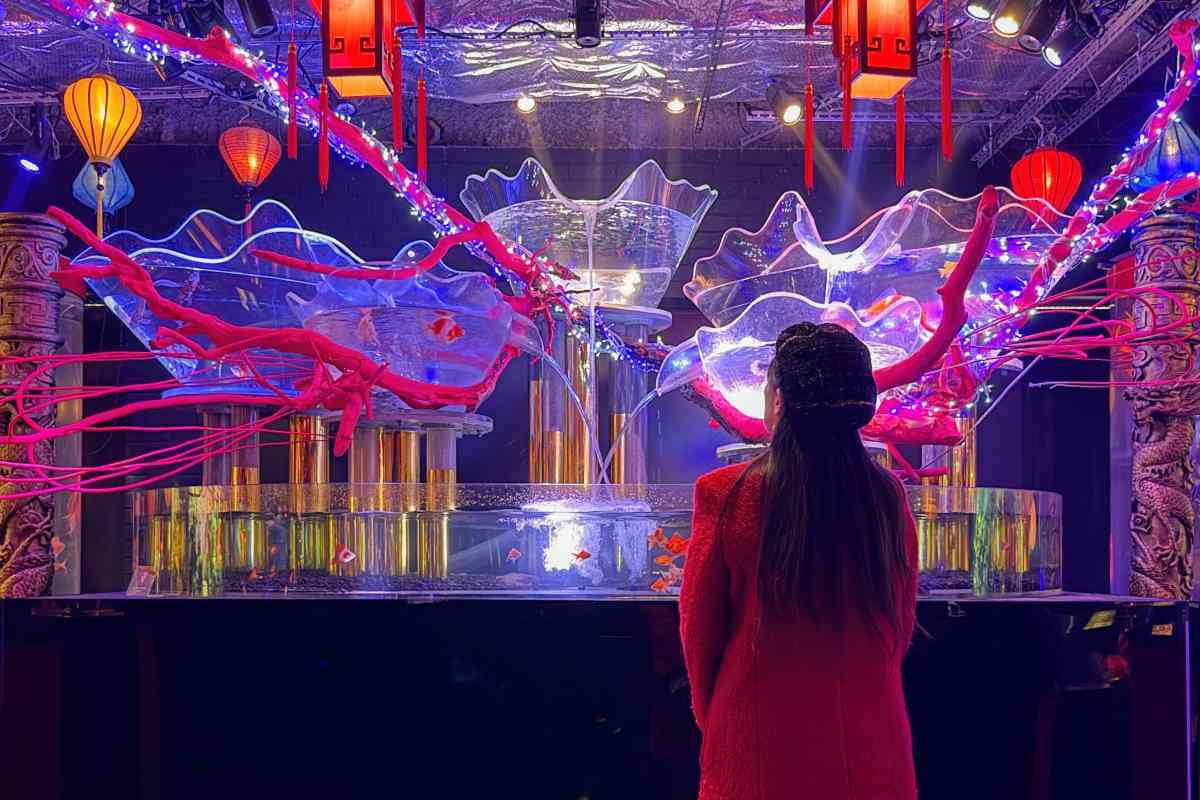 東京景點｜台場「UWS AQUARIUM GA☆KYO 水族館！5大區域看點、購票方式