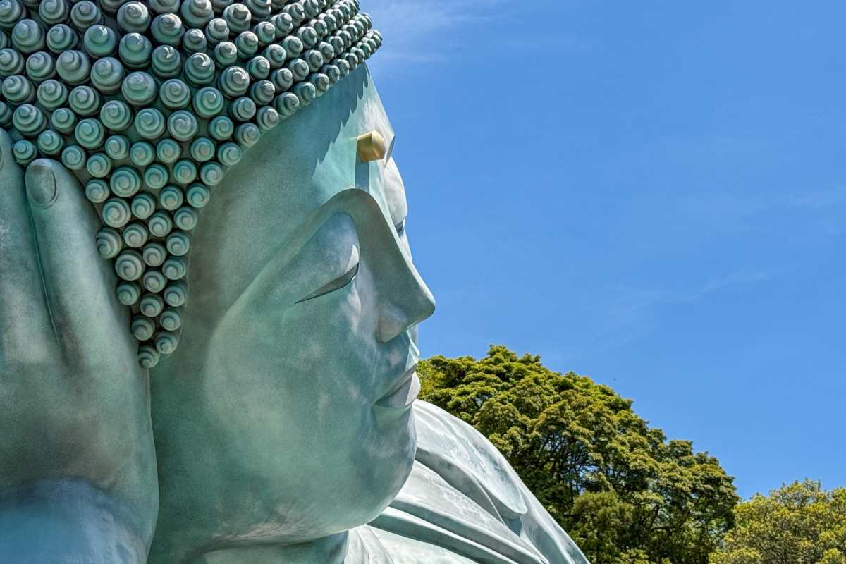 福岡近郊｜最新「南藏院」攻略！從穿搭禮儀、交通到佛足石圖騰解密