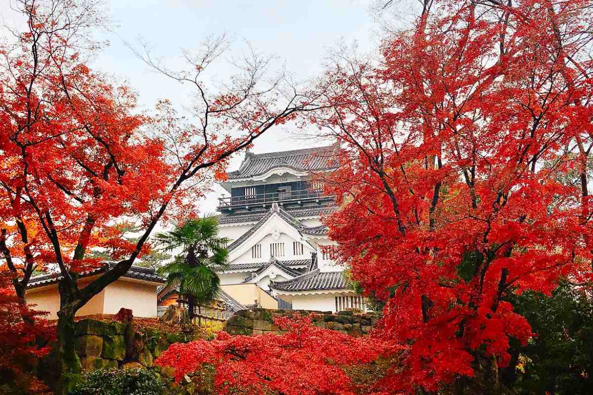 名古屋自由行｜岡崎一日遊：德川家康誕生地、八丁味噌發酵旅、味噌烏龍麵美食